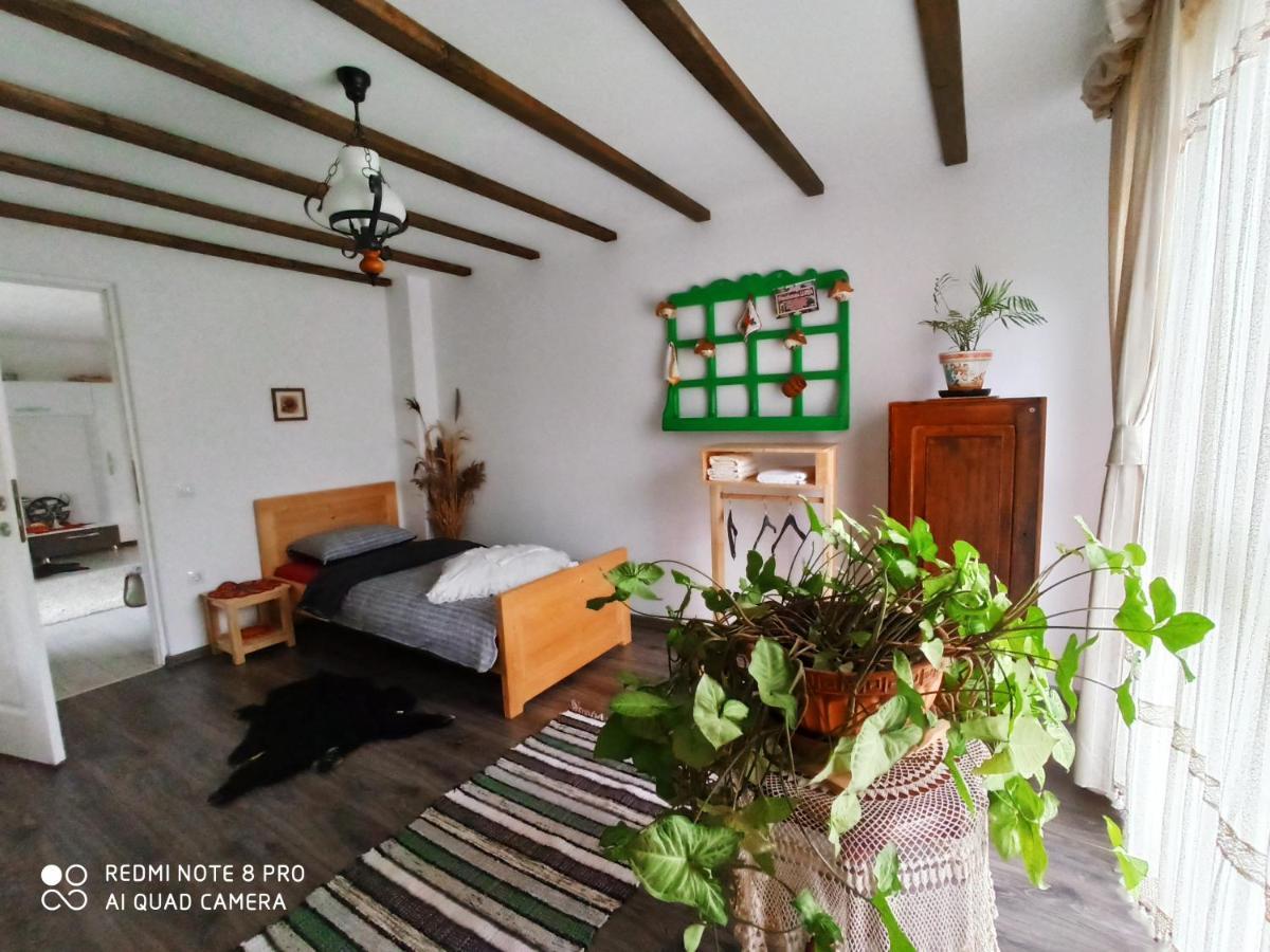 Hotel Casa Lucia à Damuc Extérieur photo