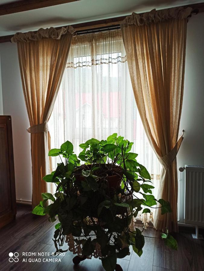 Hotel Casa Lucia à Damuc Extérieur photo