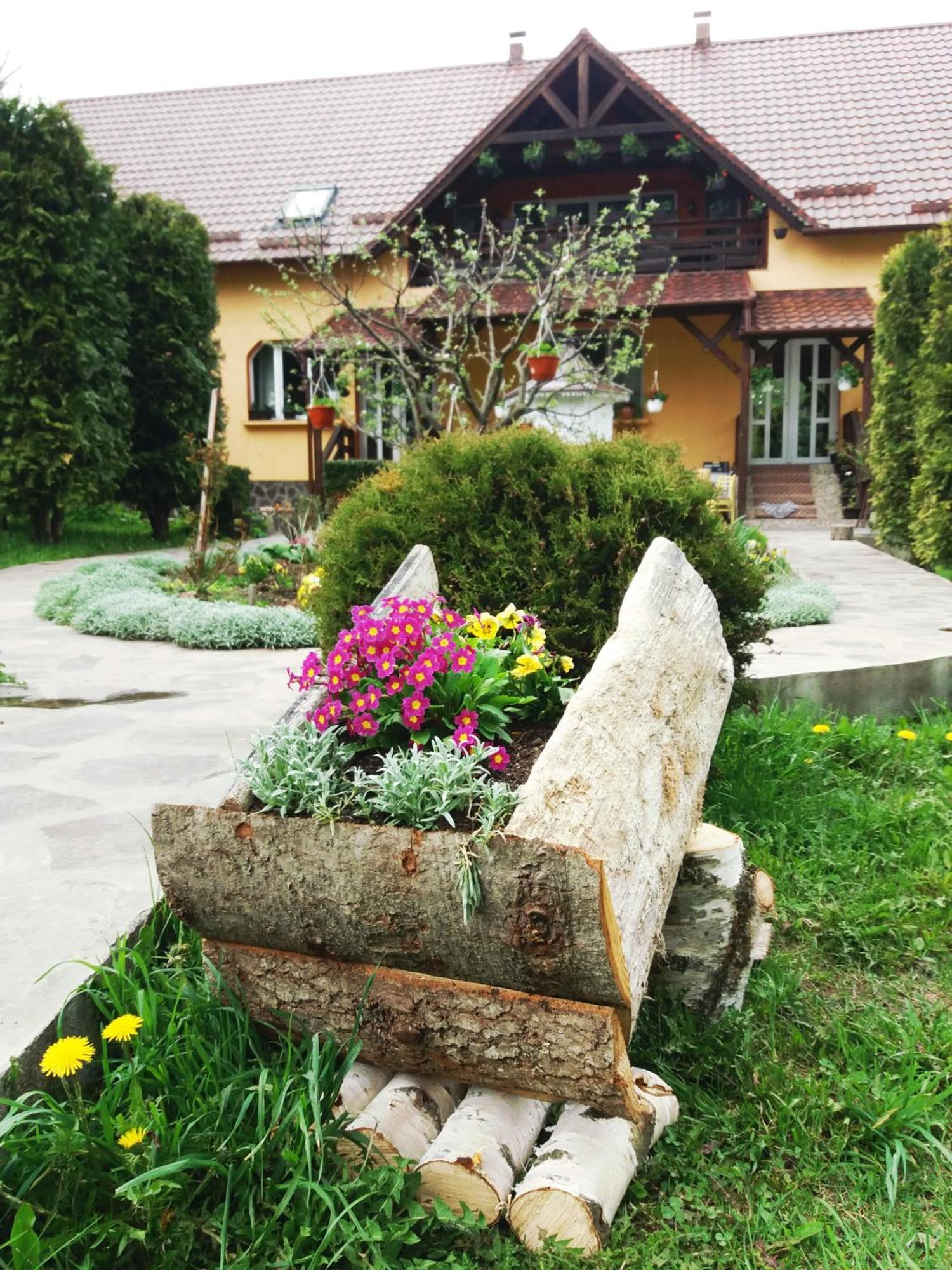 Hotel Casa Lucia à Damuc Extérieur photo